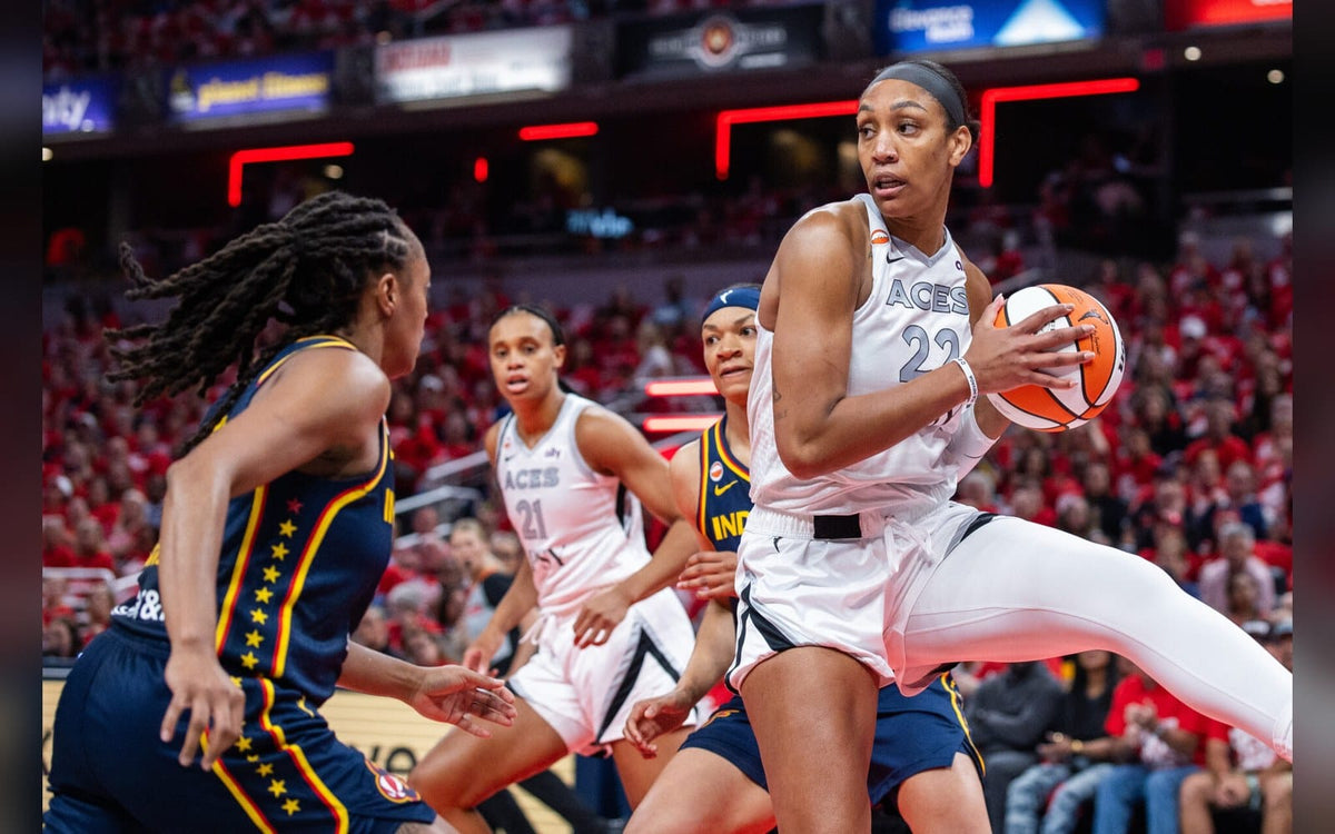 WNBA announcer LaChina Robinson calls out Fever fans after A’ja Wilson incident