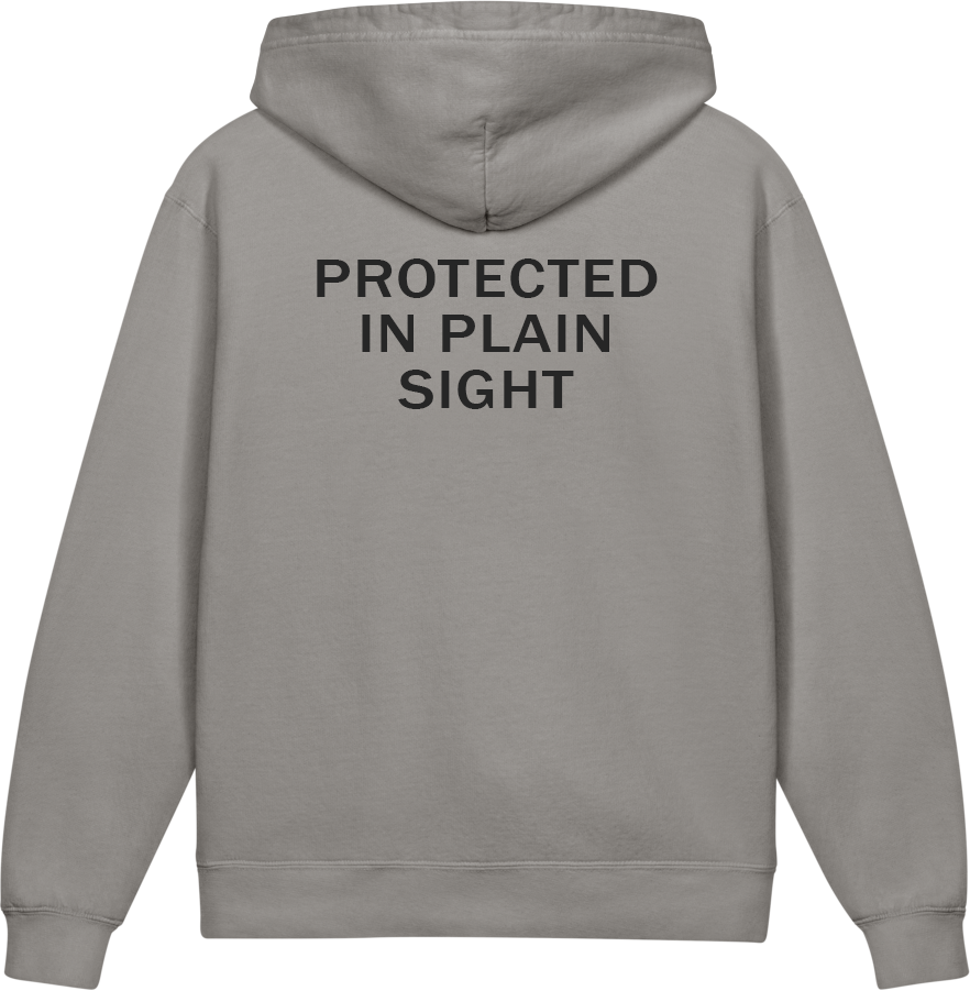 Protected in Plain Sight — Older Kids Faith Hoodie