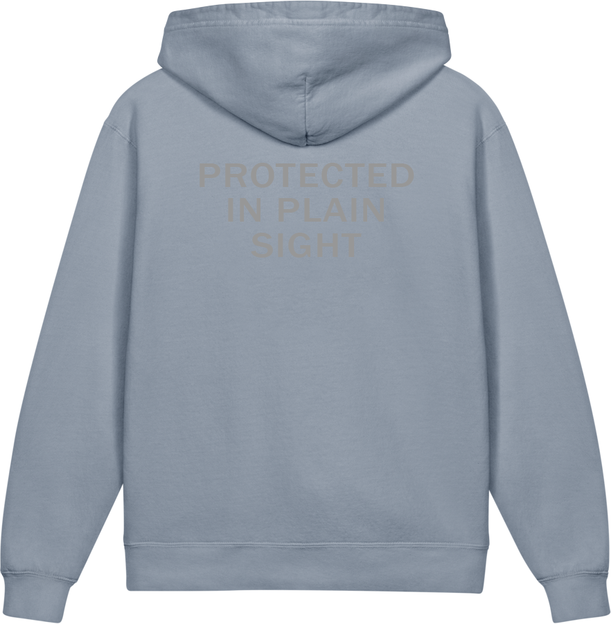 Protected in Plain Sight — Older Kids Faith Hoodie