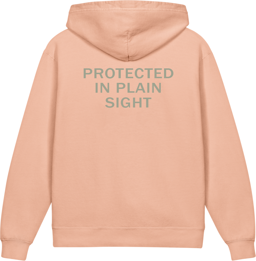 Protected in Plain Sight — Older Kids Faith Hoodie
