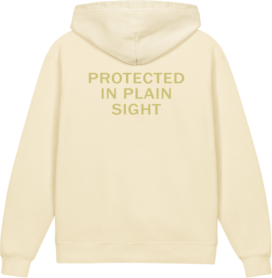 Protected in Plain Sight — Older Kids Faith Hoodie