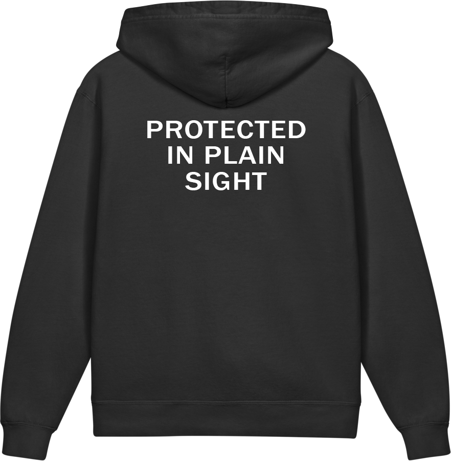 Protected in Plain Sight — Older Kids Faith Hoodie