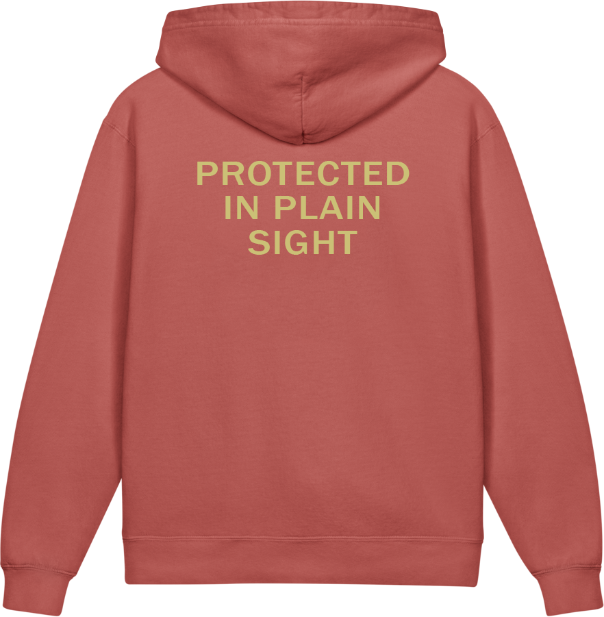 Protected in Plain Sight — Older Kids Faith Hoodie
