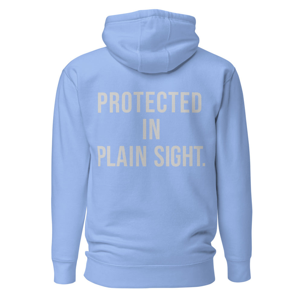 Protected in Plain Sight — Carolina Blue hoodie — back view