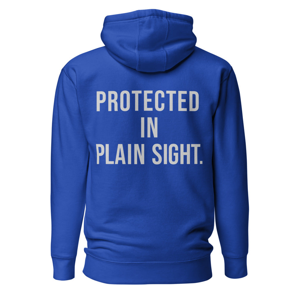 Protected in Plain Sight — Premium Faith Hoodie — Team Royal back with Cool Gray slogan
