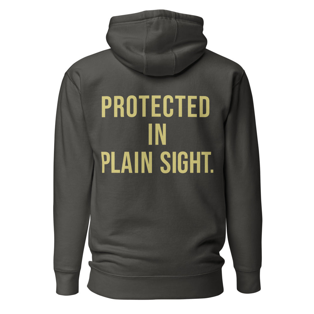 Protected in Plain Sight — Embroidered Faith Hoodie — Vintage Black hoodie back with Butter ink slogan