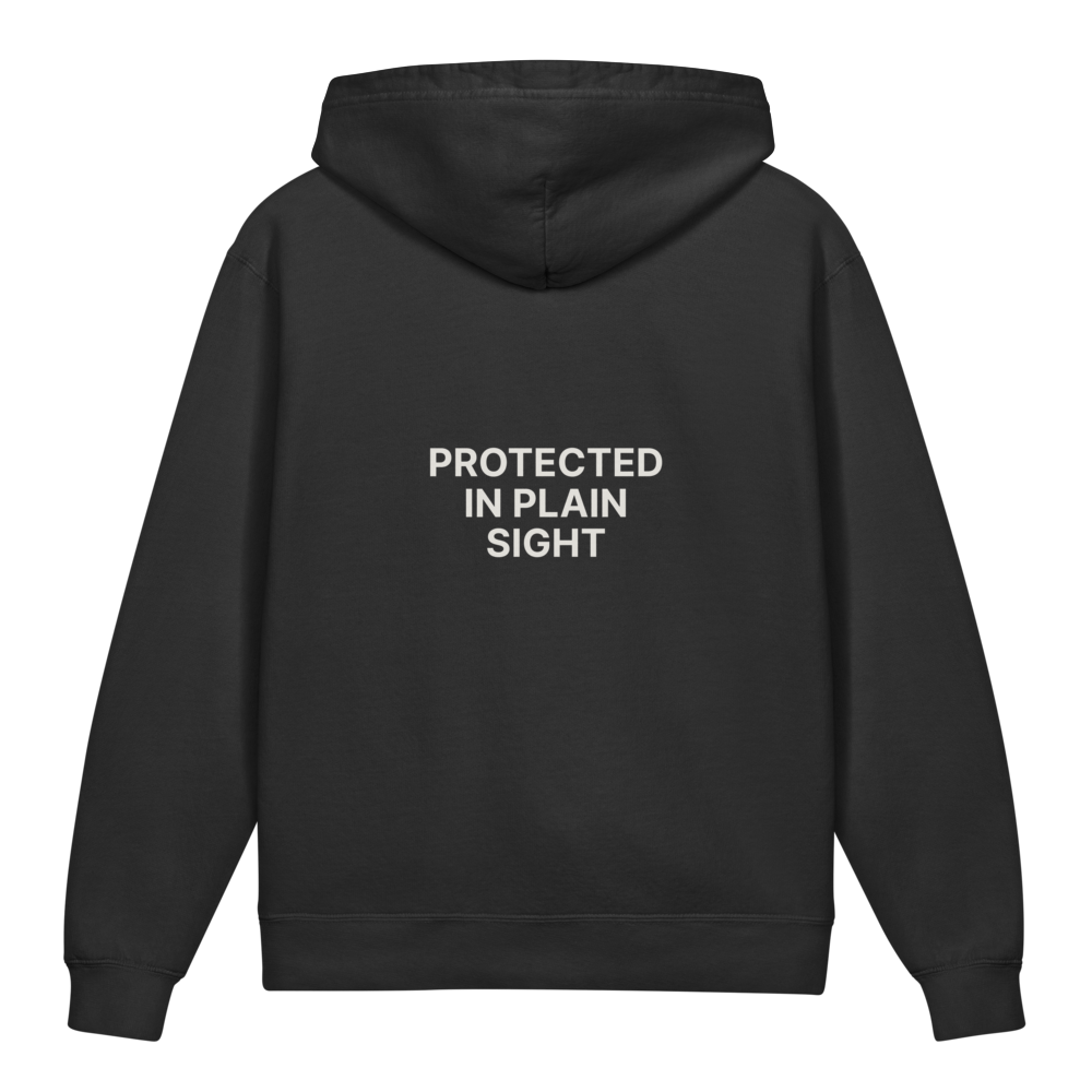 Protected in Plain Sight — Older Kids Faith Hoodie